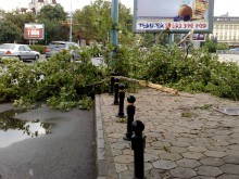 250 сигнала за паднали дървета и 50 за наводнени помещения вчера