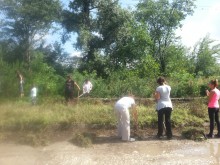 Тимуровска команда почисти Правище