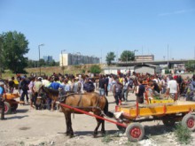 Кърваво меле между два клана в "Шекер махала"