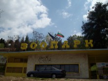 Откриха избягалата вълчица в Благоевград - в зоопарка е 