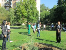 Нови дървета и храсти в парковете на "Тракия"