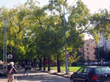 11 и 37 с променени маршрути поради временно затваряне на "Даме Груев"