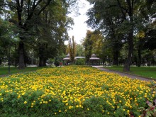 "Градини и паркове" засажда 1 000 000 цветя собствено производство