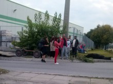 Камион уби кон на булевард в Пловдив