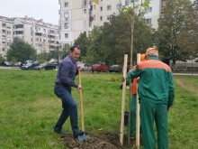 Залесителна акция се проведе в парк "Красива България"