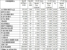 26.68% е избирателната активност в Пловдив към 17:00 часа