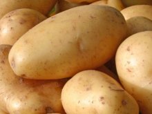 Вера Парунска: Смолянските картофи трябва да бъдат защитени с патент