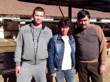 Ферма пести ток с мляко и слънце