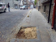 Камион с мебели разсече на две дърво в Пловдив