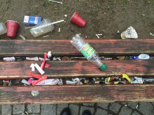 Малка кочина се появи до Пловдивския университет