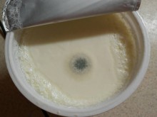 Пловдивчанка си купи кисело мляко и остана шокирана!