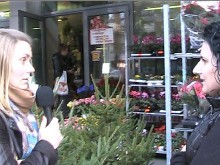 Все повече пловдивчани купуват елхи в саксия