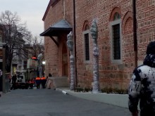 Зазимяват палмите край Римския стадион