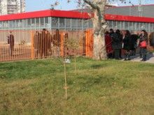 Нова детска градина в училище "Стоян Михайловски" в "Южен"?