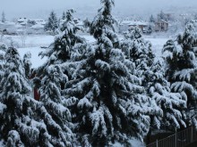 Планинските спасители откриха мъж, изгубен в района на Витоша