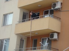 Колега на Благой: На мравката път правеше