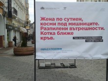 На Главната: "Жена по сутиен, косми под мишниците. Котка ближе кръв"