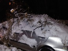 Няколко коли пострадаха в Пловдив заради мокрия сняг, внимавайте!