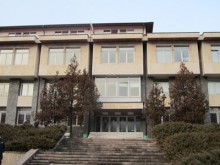 Куриоз: Жена осъди ловци, че глигани изяли картофите