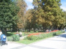 Започва зацветяване на район "Южен"