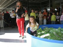 Търговец от Златица спечели Пежо на Есенния панаир