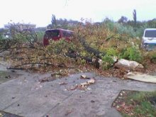 Бурята в Пловдив нанесе сериозни щети