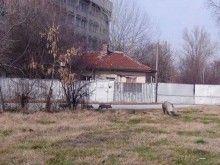 Пак прасенца край ПУ 