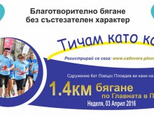 "Тичам като коте" в Пловдив