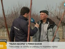 Пенсионер от Асеновград се готви за рекорд от 1000 коремни преси