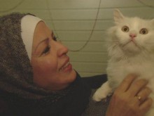 Иракска котка на бежанци намери семейството си в Норвегия