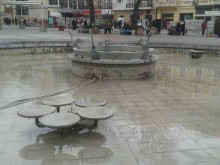 Пеликаните отново са пред Общината, пълнят и фонтана