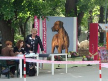 Международна киноложка изложба днес в Пловдив