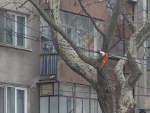 Мъж и жена на косъм от смъртта заради скъсана тролейбусна мрежа в Пловдив!