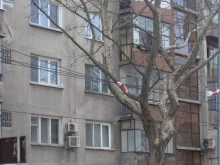 Тече цялостна оценка на контактната мрежа в Пловдив