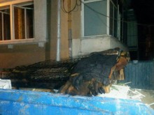 Дете скочи през прозореца, за да се спаси от пожар в Пловдив