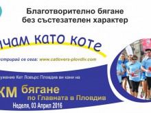 Пловдивчани ще тичат в подкрепа на уличните котки