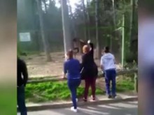 Необяснима агресия: Роми замерят животни в зоопарк