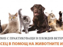 Пловдивски ученици се срещат с Мадам Фльор Де Мон Шмитфилд Беар