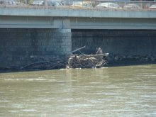 Над 300 пункта за контрол следят водите в Марица, Тунджа и Арда