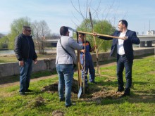 Залесителна акция предстои в "Северен"