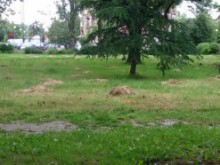 Питат къде да пръскат срещу кърлежи из центъра