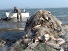 Забранява се уловът в рибностопанските обекти
