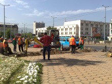 Нов водопровод ще обслужва палмите край Католическата църква 
