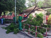 Ексклузивно: Чудо спаси деца от страшна трагедия в Пловдив! Има пострадала!