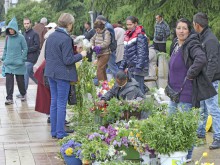 Роми въртят бизнес с върбови клонки в центъра на София