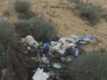 Райско кътче край морето заринато в боклуци