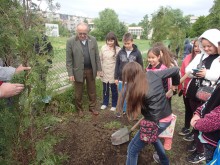 Залесиха двора на ОУ "Стоян Михайловски" в "Южен"