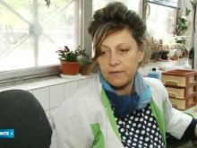 Зъботехници в Пловдив на бунт за заплати