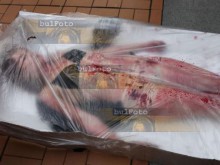 Вегани протестираха стряскащо срещу консумацията на месо