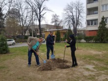 "Дни на зелената система" в Пловдив
